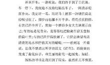 记一次南方旅行 愉快的旅行作文900字