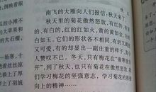 参观孔庙 四年级秋游作文300字