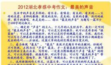 第一次中考 一次难忘的考试作文300字