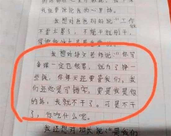 爆笑小学生作文:妈妈抓狂,老师吐血!爸爸:已经打过了 3
