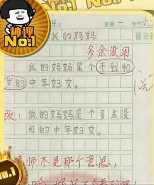 爆笑小学生作文:妈妈抓狂,老师吐血!爸爸:已经打过了 2