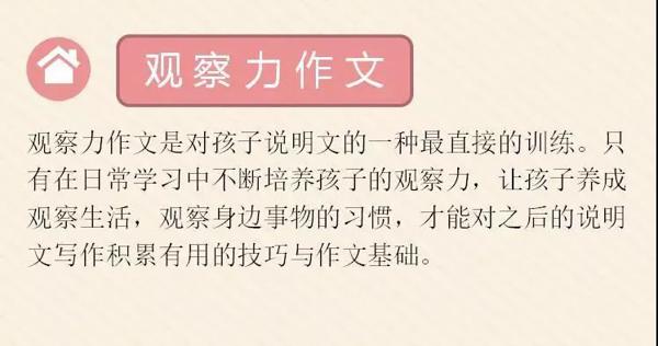 【实感作文】作文还能这样学？ 18