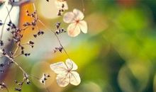 中学生作文：那一次我真后悔