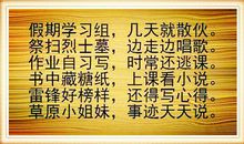 认养小淘气优秀作文500字