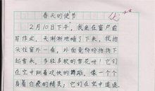 一杯牛奶350字作文