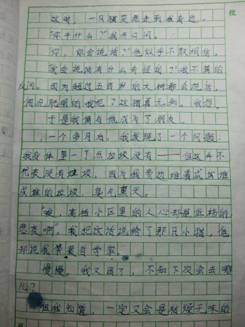 观日环食学生作文