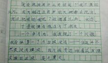 观日环食学生作文