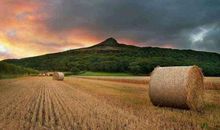 100句关于勤奋的名言警句，写在作文里，励志又增彩！太实用了！