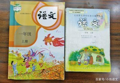 小学生写不好作文，家长认为语文太难学，老师却说不是教材的原因