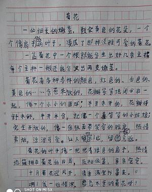 原创 作文的开头，该怎样指导孩子来写 1