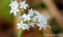 关于寒冷天气的句子