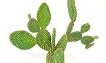 【四年级优秀同步作文推荐榜】王旭尧/旭日教育四年级作文班