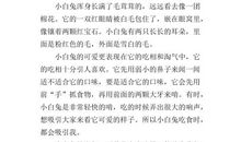 奇怪的电扇 四年级状物作文500字