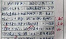 难忘的一次龙舟赛作文600字