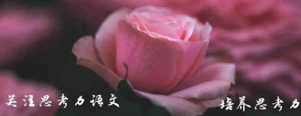 「佳作」2019年中考江苏泰州满分作文：因交流而多彩