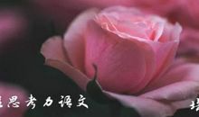 「佳作」2019年中考江苏泰州满分作文：因交流而多彩