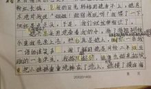 我走进安妮的世界650字作文