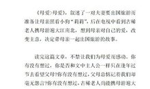 《母爱》读后感范文