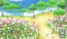 关于游花圃的作文