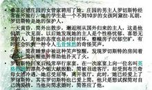 《发现语文》读后感