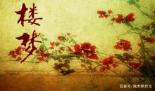 红楼梦读后感500字