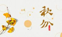 关于秋分的作文：秋分_350字