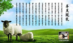 养育和教导之恩_800字