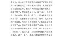 乡间的生活 安逸的乡下生活900字作文