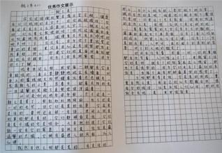 初二叙事作文：一次有意义的尝试_800字