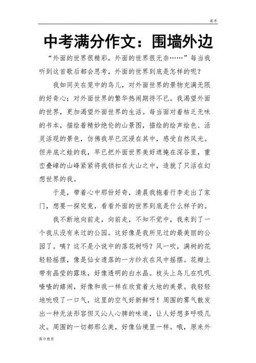 中考优秀作文|《围墙外边》