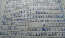 我与“啪叽” 儿时的游戏300字作文