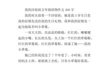 五年级状物作文：棉被的自述_800字