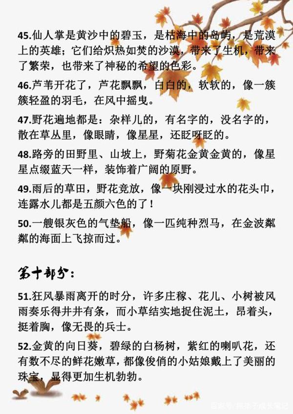 小学语文满分作文:小学常用的拟人、比喻、排比、夸张句大汇总! 7