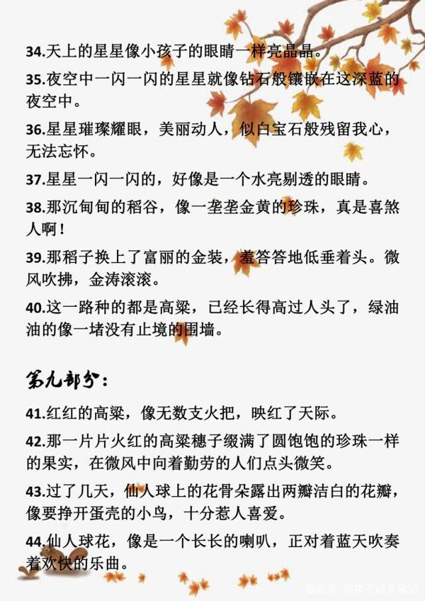 小学语文满分作文:小学常用的拟人、比喻、排比、夸张句大汇总! 6