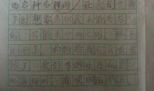 开心的星期天作文100字