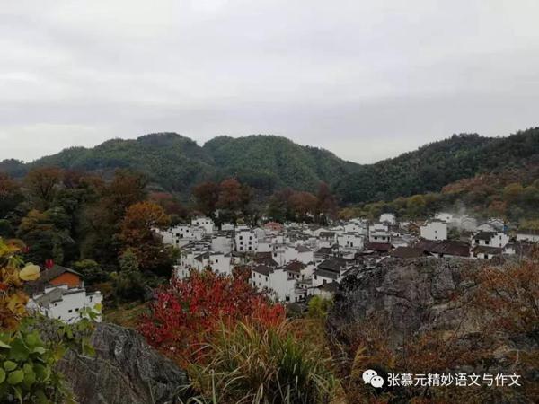 张慕元老师指导江岸区作文“懂得了，就能获得力量”（及各区9上期中作文） 10