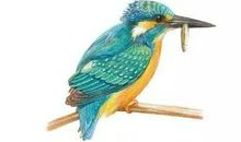 孩子写作不会构段？5大技巧升级作文结构！速存！