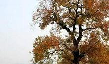 教师也要写作文（之三）