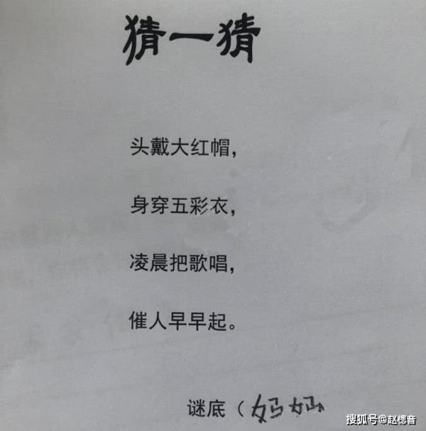 原创 最有才的小学生，9字作文得100分，网友：这猫腻大了 1