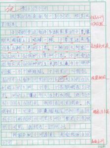 怀化，神奇而美丽的家乡 我的家乡作文400字
