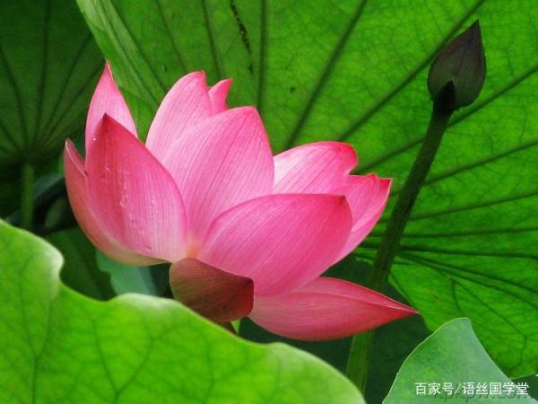 2019年高考浙江卷满分作文选:一睹浙江学子之文采! 9