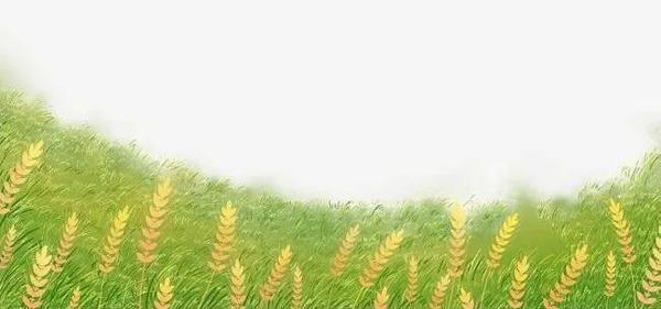孩子写作不会构段？5大技巧升级作文结构！速存！ 6