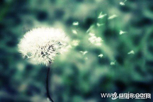 对爱人思念的句子