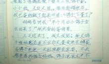 胆小的我 养鸽子趣事作文300字