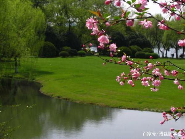 2019年高考浙江卷满分作文选:一睹浙江学子之文采! 2