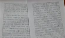 东莞寒假作文辅导——什么是静态观察法