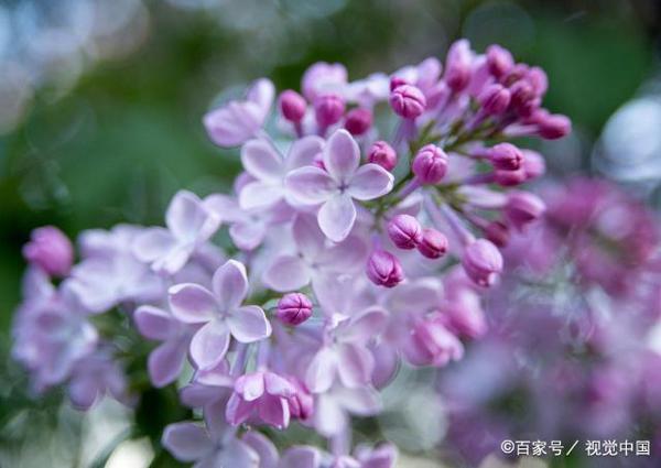 笔尖流出的故事,六年级上册四单元同步作文写作指导,附范文 1