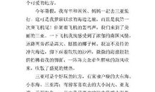 三亚游玩记 三亚旅游作文400字