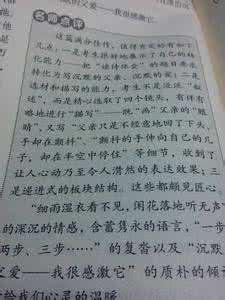 以执着为话题的作文