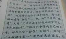 以执着为话题的作文